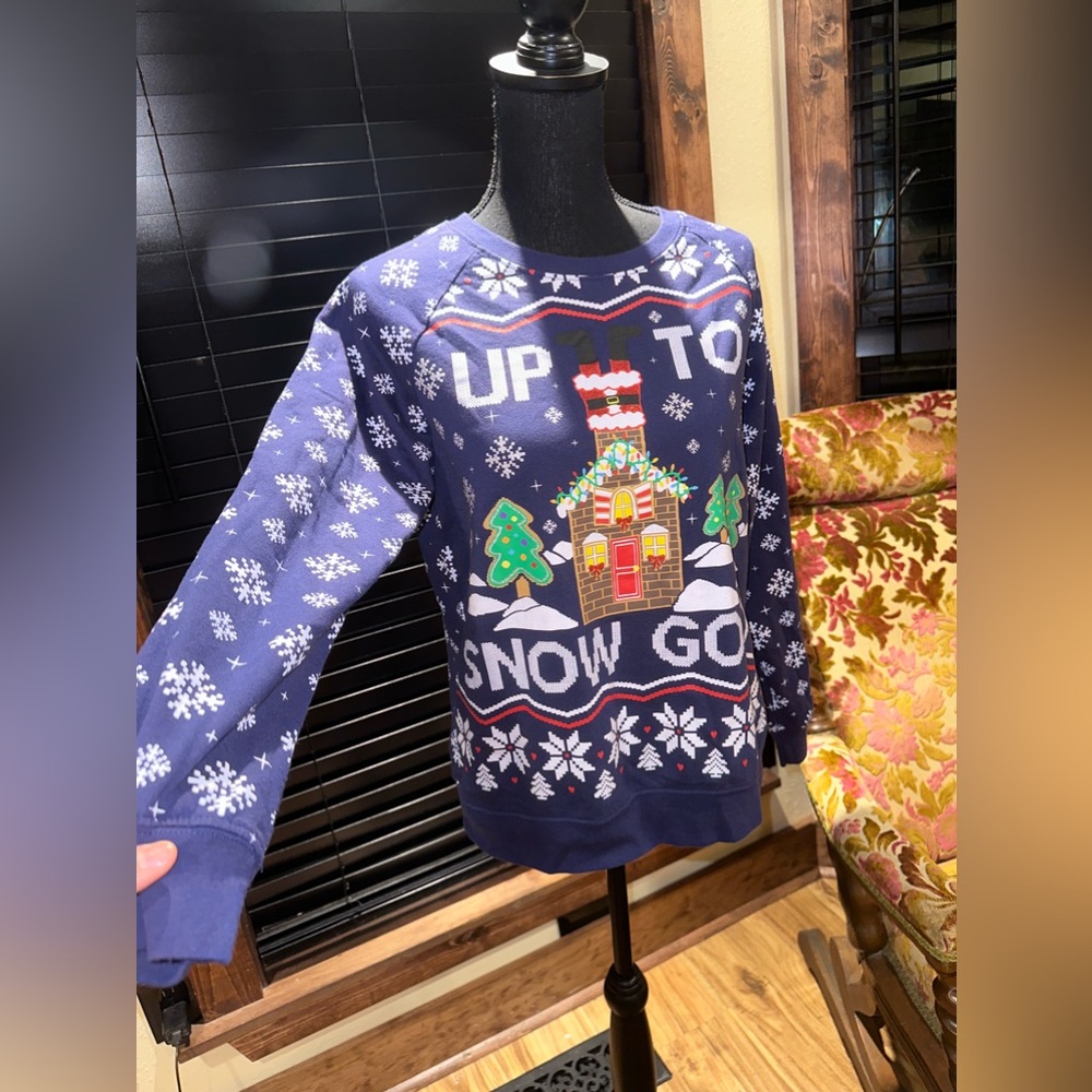 EUC “Freeze “Christmas blue Sweatshirts Size M - Picture 3 of 5
